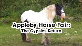 Appleby Horse Fair The Gypsies Return [upl. by Erret]