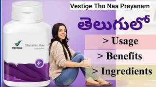 Vestige Shatavari In Telugu Women Health Supplement  Benefits amp Uses  Womens Health [upl. by Llerrej]