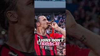 Ibrahimovic Refused To Be A Coach [upl. by Ellah]