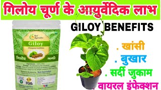 Neel ayurvedics Giloy powder benefits in Hindi [upl. by Adnahcir419]