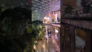 Hamad International Airport Visit Qatar Doha Walkthrough Tour 🇶🇦 [upl. by Noelopan]