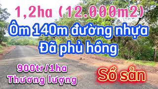 198 Bán 12ha Điều Ôm 140m đường nhựa Phủ Hồng  sổ sẵn  Đăng ký được thổ cư  Giá 900tr1ha TL [upl. by Ynafit]