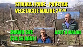 Situacija u MALINI  CENE DJUBRENJA  PRSKANJA  gde su PARE  kako zaraditi 2024  KO MANIPULIŠE [upl. by Keon]