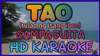 TAO KARAOKE By SAMPAGUITA HD KARAOKE NVZ KARAOKE [upl. by Ayiram]