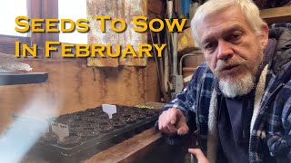 Vegetable Seeds to Sow in February [upl. by Pavia]