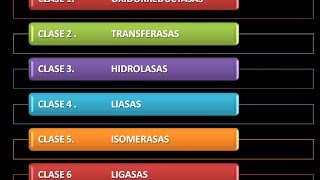 Enzimas Clasificación [upl. by Eustasius]