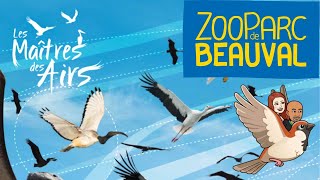 Spectacle quotLes Maitres des Airsquot zoobeauval la fin est magique [upl. by Breana]