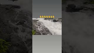 Waterfall 🌧️ monsoonphotography travel youtubeshorts shorts waterfall [upl. by Sardella]