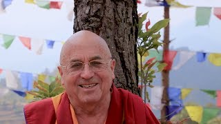 Matthieu Ricard – El Simple Secreto de la Felicidad [upl. by Skerl]