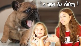 Notre petit chiot a 1 mois  On lui rend visite et on vous dévoile son nom en exclusivité [upl. by Orvas]