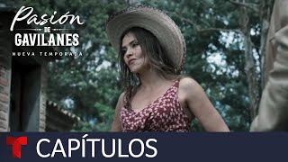 Pasión de Gavilanes Nueva Temporada  Capítulo 8  Telemundo [upl. by Desimone275]