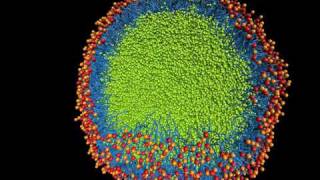 Nanoscale emulsion formation [upl. by Jim]