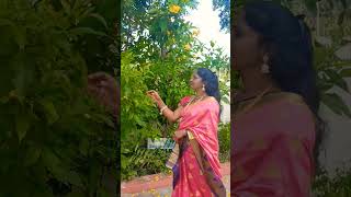 Poothu poothu kulunguthadi poovugood evening my dearstrending song shorts [upl. by Adnov]