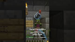 the hidden secrets in Minecraft igloos [upl. by Meesan]