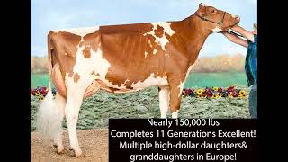 2024 PA Convention Sale Lot 8 [upl. by Jorrie]