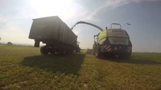 Häckseln mit Claas Jaguar Axion New Holland und Fendt  GoPro Power [upl. by Terrena]