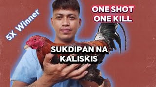 KALISKIS NG MANOK PANABONG [upl. by Annavahs]