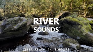 8 Hours of Healing Water Sounds  Sleep Relax Meditation Stress Relief [upl. by Areek]