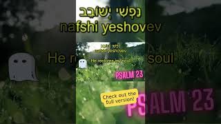 Psalm 23 מִזְמוֹר לְדָוִד Mizmor LeDavid The Lord is My Shepherd  Learn Hebrew with IsraeliSongs [upl. by Adikam673]