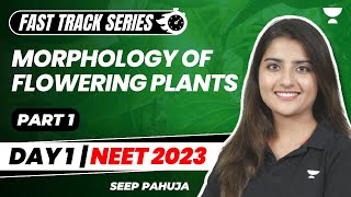 Morphology of Flowering Plants  Part 1  Fast Track Revision NEET 2023  Seep Pahuja [upl. by Delia]