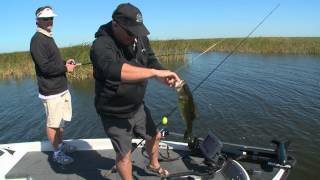 Okeechobee Shiner Fishing [upl. by Adym]