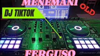 DJ TIKTOK MENEMANI FERGUSO REMIX KANE REVERB [upl. by Sumaes325]