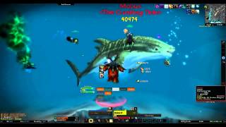 World of Warcraft Mobus  The Crushing Tide Cataclysm Outdoor Raid Boss [upl. by Adnahsed]