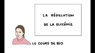 La régulation de la glycémie [upl. by Nalod]