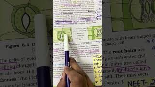 NEET BIOLOGY MCQ Practice for NEET 2024 NCERTlines study neet bio trending neetpyq mbbs [upl. by Anairol]