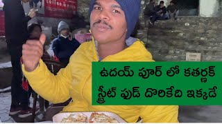 Udaipur Street Food Vlog  ఫుడ్ లవర్స్ అడ్డా 😋 Rajasthan Telugu Travel Vlog  Raju Kanneboina [upl. by Adler411]