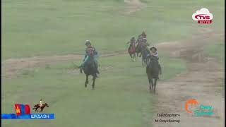 Шоу халзан Mongolian horse race [upl. by Ander]