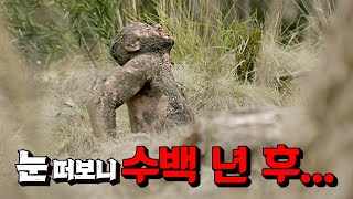 와 예측 불가능한 시간 순삭 띵작 넷플릭스 추천 드라마 시즌1 한방에 몰아보기 [upl. by Nnylecoj]