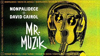 NONPALIDECE  DAVID CAIROL  MR MUZIK [upl. by Vange]