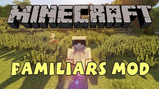 Minecraft  Familiars Mod  NOTCH HEROBRINE and CHUCK NORRIS [upl. by Acireit]