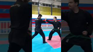 Shizen to Ichimonji no kamae application ninjutsu bujinkan martialarts selfdefense [upl. by Anerres959]