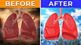 10 BEST Herbs For Lung Health Clearing Mucus Viruses and COPD [upl. by Bonar274]