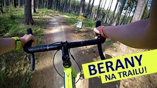 Gravel bike Sjel jsem černý trail na kole s beranama [upl. by Nnaeirual]