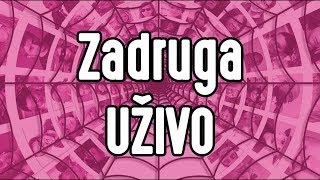 ZADRUGA UZIVO 247 LIVE [upl. by Anihsit]