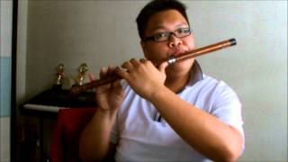 TARA Day by Day Flute Cover [upl. by Fairlie]