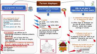 ⭐SVTTCSFRésumé  chapitre⭐  Les facteurs édaphiques et leurs relations avec les êtres vivants [upl. by Ahsirkal881]