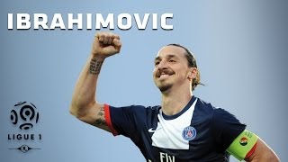 Zlatan Ibrahimovic  All 26 Goals  20132014 [upl. by Salomo]