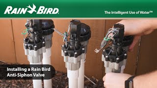 Installing a Rain Bird Residential AntiSiphon Valve [upl. by Netsriik]