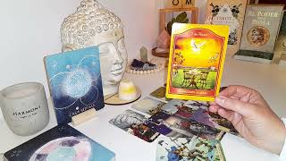 💫💛¿QUÉ NECESITAS SABER EN ESTE MOMENTO💛💫 TAROT INTERACTIVO [upl. by Auqinihs]