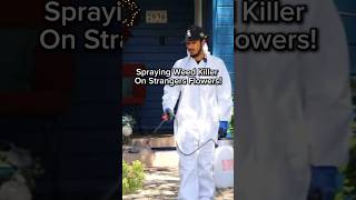 Weed killer on strangers flowers prank [upl. by Latrina]