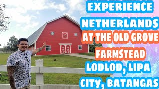 THE OLD GROVE FARMSTEAD AT LODLOD LIPA CITY BATANGAS EXPERIENCE NETHERLANDS IN THE PHILIPPINES [upl. by Onitselec136]