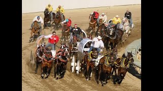 Hotcakes to High Stakes The Modern Chuckwagon Race [upl. by Kooima]