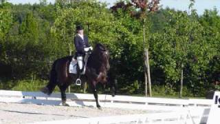 wwwreitschulesandbrinkde For Compliment Stallion Qualification Bundeschampionat Dressage [upl. by Ahsinahs134]