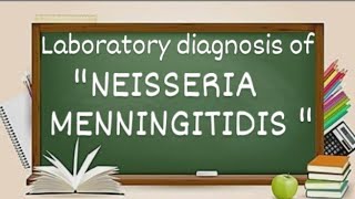 Laboratory diagnosis of neisseria meningitidis [upl. by Yrelav]