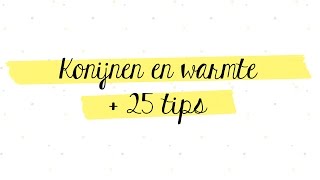 Konijnen en warmte met veel tips  De konijnenknuffelaar [upl. by Odnala675]