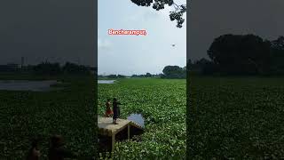 Titas River Bancharampur Brahmanbaria [upl. by Seligman458]